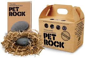 宠物石头(Pet Rock)